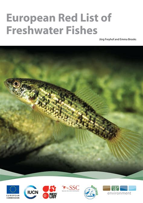 european fish|Checklist of European freshwater fishes .